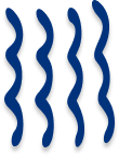 Frame 486